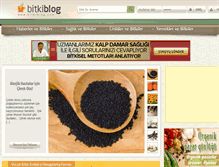 Tablet Screenshot of bitkiblog.com